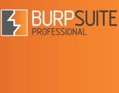 Burp Suite Pro 2022.1.1 Crack With License Key Free